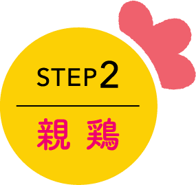 STEP2 親鶏